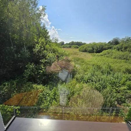 Sunrise House 辛安诺泽蒂